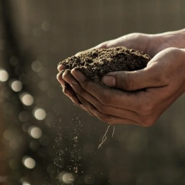 Soil Conservation