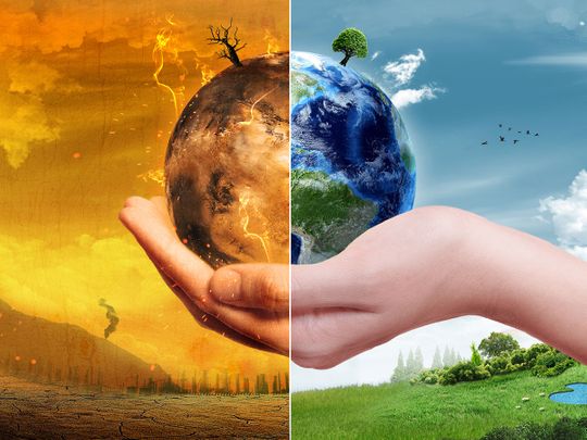 Environment Sustainability Service In India