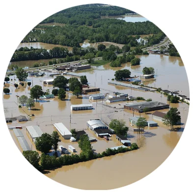 Environmental & Social Impact Studies