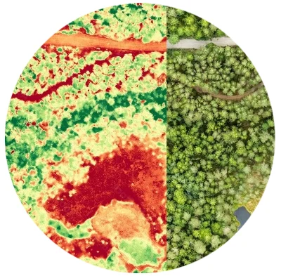 Land Use Ecological Study
